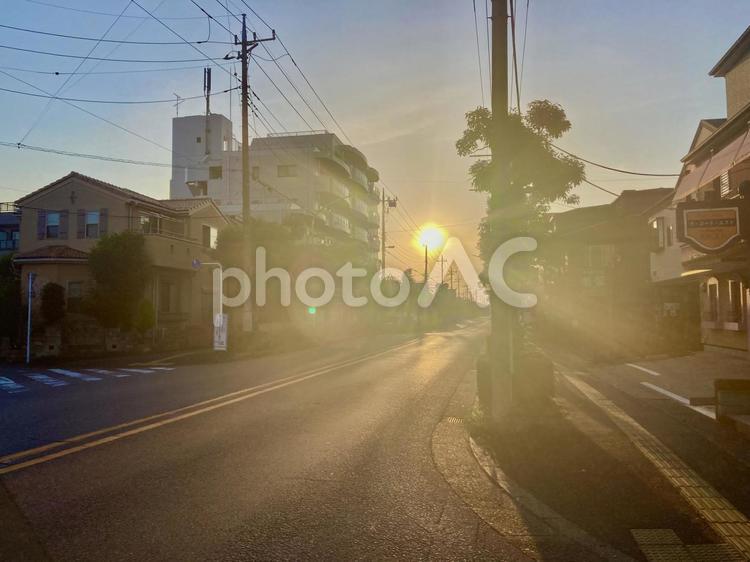 早朝の街の朝日　横 道路,街,街並みの写真素材