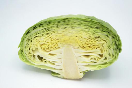半分のキャベツ 半分のキャベツの写真