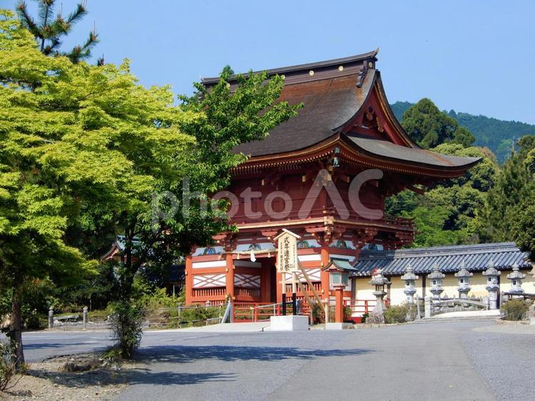南宮大社　楼門 南宮大社,楼門,美濃国一宮の写真素材