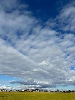 くもり空、青空、雲、草 くもり空、青空、雲、草の写真