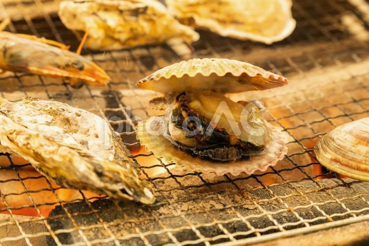 海鮮浜焼き ヒオウギ貝,浜焼き,牡蠣の写真素材