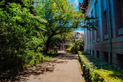 【東京】上野国立博物館 2025 【東京】上野国立博物館 2025 上野,国立博物館,博物館の写真素材