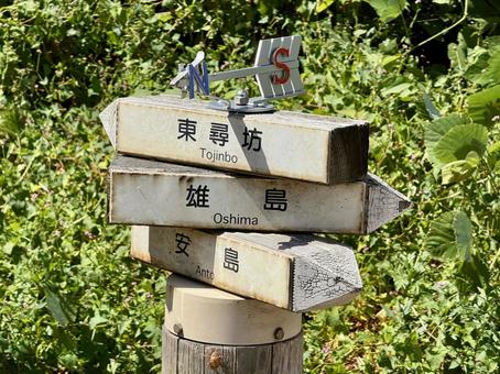 東尋坊の道端で見かけた案内看板 道案内,道しるべ,看板の写真素材