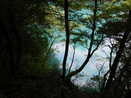 夢のつり橋、寸又峡の写真