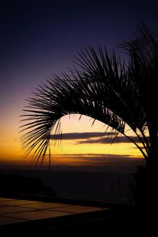 sunset sunsetの写真