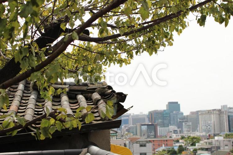 木と屋根 アジア,建築,木の写真素材