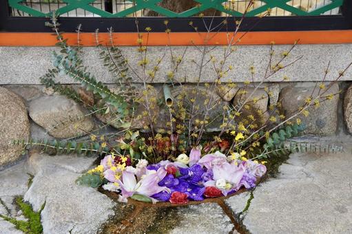 手水舍の手水花 手水舍の手水花 手水舍,手水,手水はなの写真素材