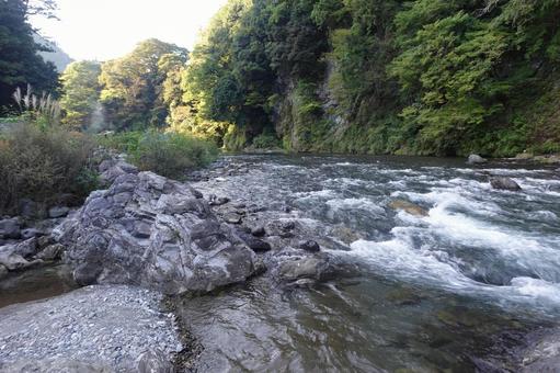 多摩川の写真