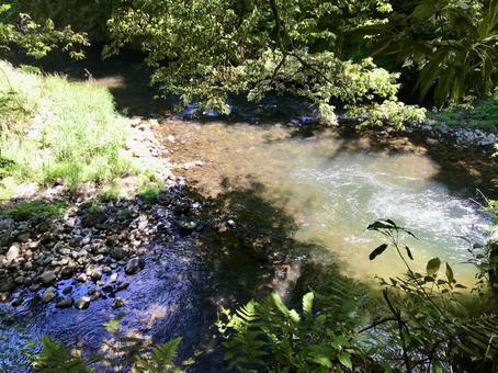 森の中の川 森の中の川の写真