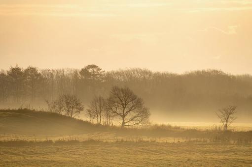 霧の中に浮かぶ枯れ木の写真