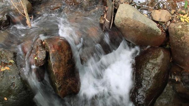 秋の細野高原の水源地から流れる冷たい水 清流,秋,水の写真素材