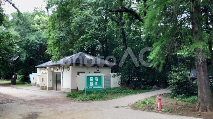 井の頭公園の風景 井の頭公園,公衆トイレ,森の写真素材