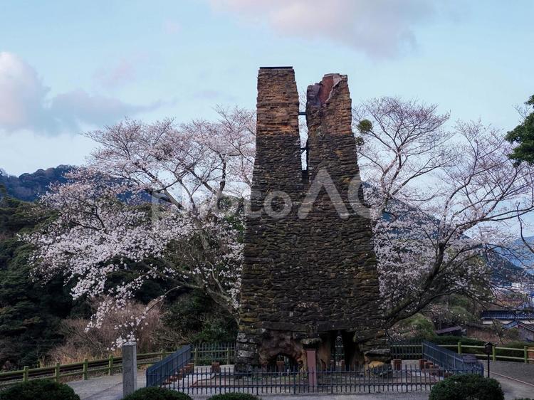 世界文化遺産・萩反射炉と桜のある風景 世界文化遺産,萩反射炉,反射炉の写真素材