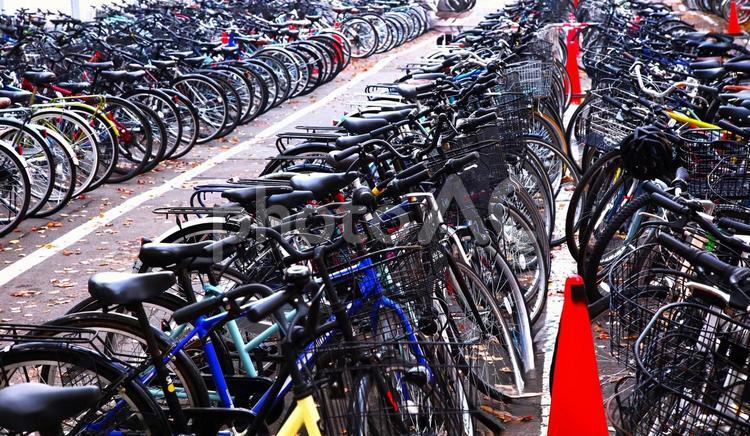 駐輪場ー大量の自転車 自転車,駐輪場,数百台の写真素材