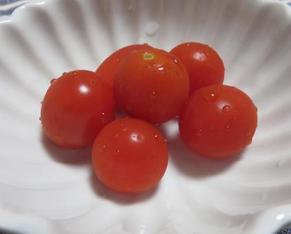 ミニトマト ミニトマトの写真