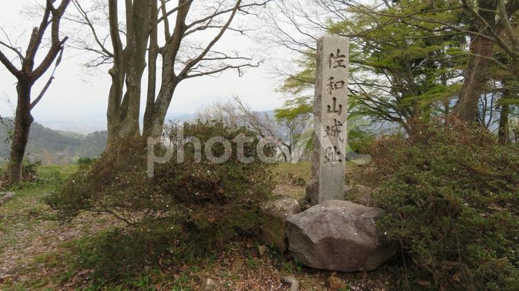 佐和山城　佐和山城跡の石碑 佐和山城,連郭式,山城の写真素材