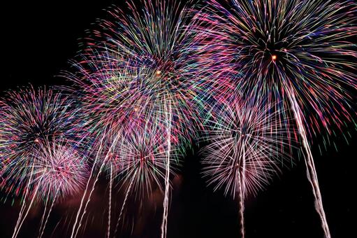 長岡花火・尺玉連発大輪の花 長岡花火,花火,花火大会の写真素材