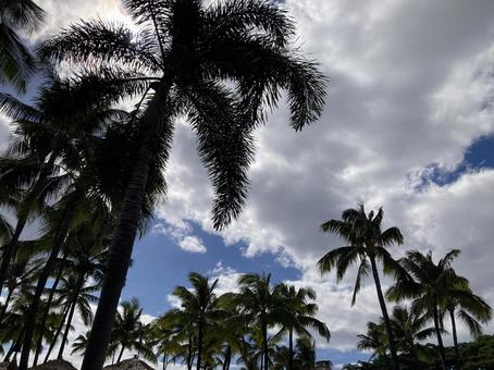 ハワイの空Ｆ ハワイ,青空,雲の写真素材