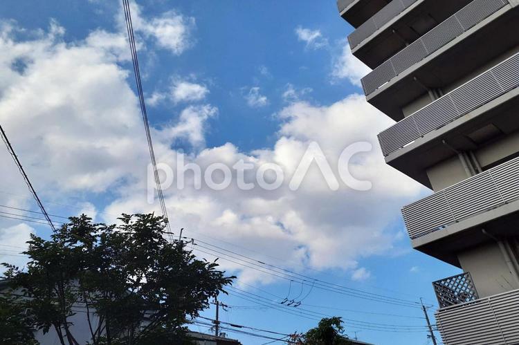 マンション　イメージ 木と空,雲,青空の写真素材