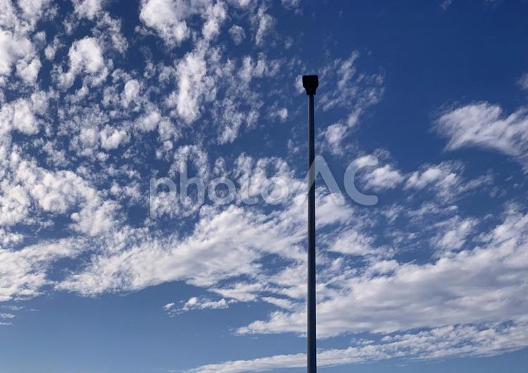 晩秋の空_横浜から北の空と街灯 雲,横浜,冬の写真素材