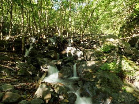 大門沢登山道 沢 大門沢登山道 沢 白根三山,北岳,間ノ岳の写真素材