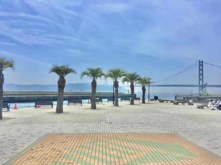 恋人岬から見る明石海峡大橋 恋人岬,明石海峡大橋,平磯海づり公園の写真素材