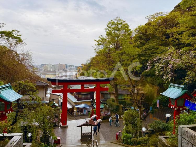 江島神社の大鳥居と街並みと海の絶景 空,絶景,鳥居の写真素材