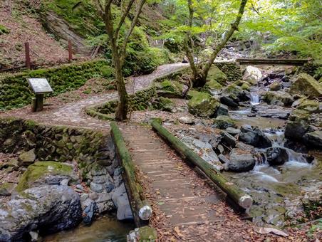 まだまだ続く竜化の滝への道 竜化の滝,紅葉,ハイキングの写真素材