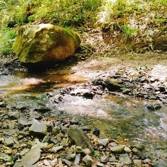 御堂新田の滝の風景 2025 御堂新田の滝の風景 2025の写真