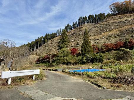 福井県坂井市　冬の畑 畑,農場,竹田水車メロディーパークの写真素材