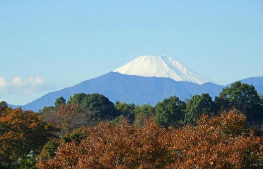 秋の富士山 秋の富士山 富士山,日本一,秋の写真素材