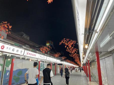 仲見世商店街 仲見世商店街,浅草,浅草寺の写真素材