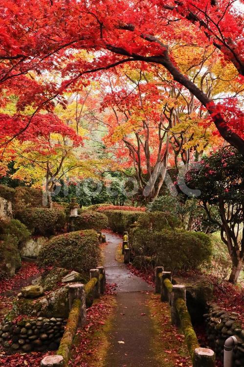 秋の旅行のイメージ 旅,旅行,観光の写真素材