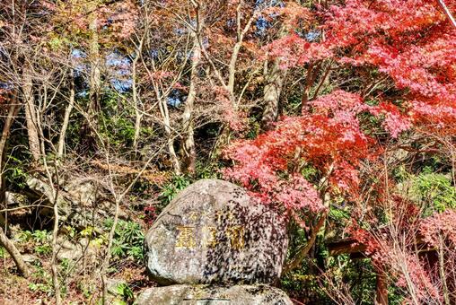 轟峡の紅葉 紅葉,もみじ,赤の写真素材