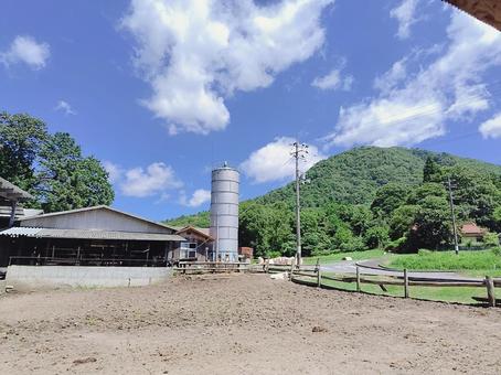 牧場の風景 牧場,風景,自然の写真素材