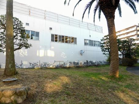 タイル壁画が撤去された松竹大船撮影所跡地 草地,公園,建物の写真素材