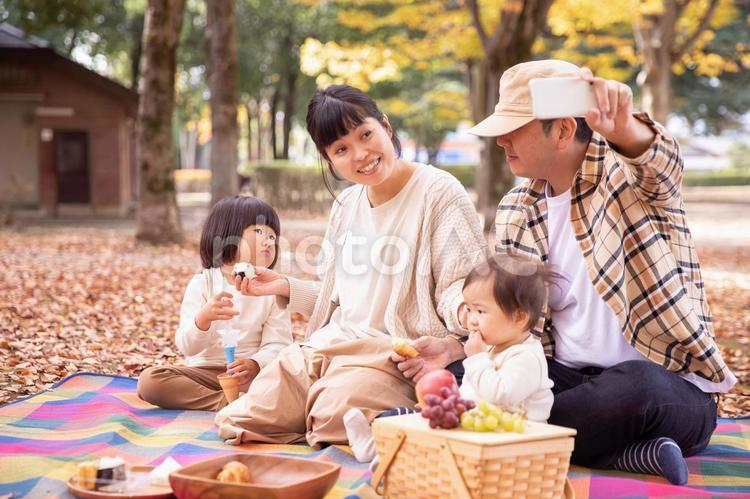 秋の公園で遊ぶ家族・ファミリー（自撮り） ピクニック,行楽,写真の写真素材