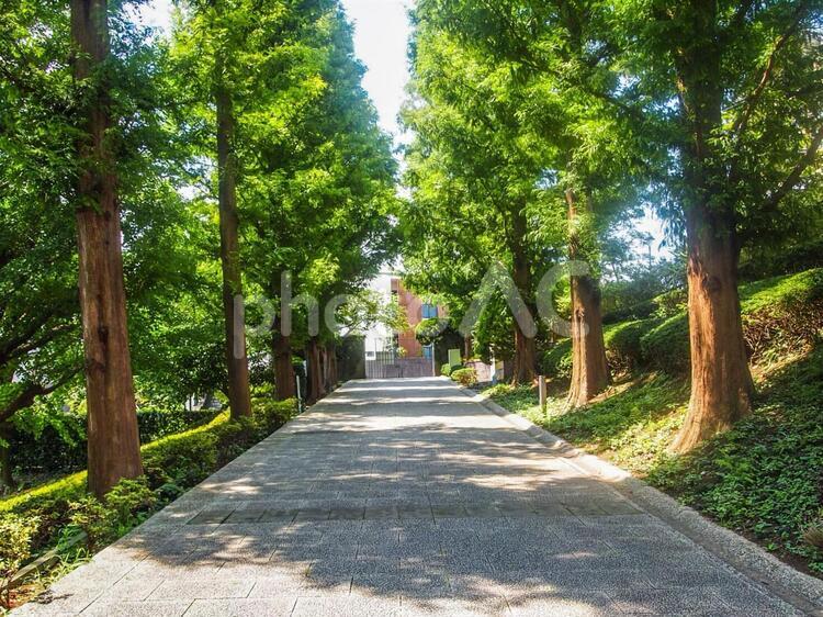 【神奈川県】横浜・山手の外交官の家 山手,洋館,庭園の写真素材