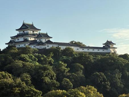 和歌山城 晴天 秋 和歌山城 晴天 秋 和歌山城,和歌山市,緑の写真素材