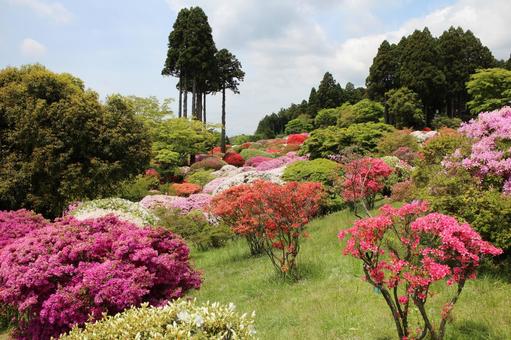 箱根の山のホテルのカラフルな庭園の風景 箱根の山のホテルのカラフルな庭園の風景 山のホテル,カラフル,庭園の写真素材