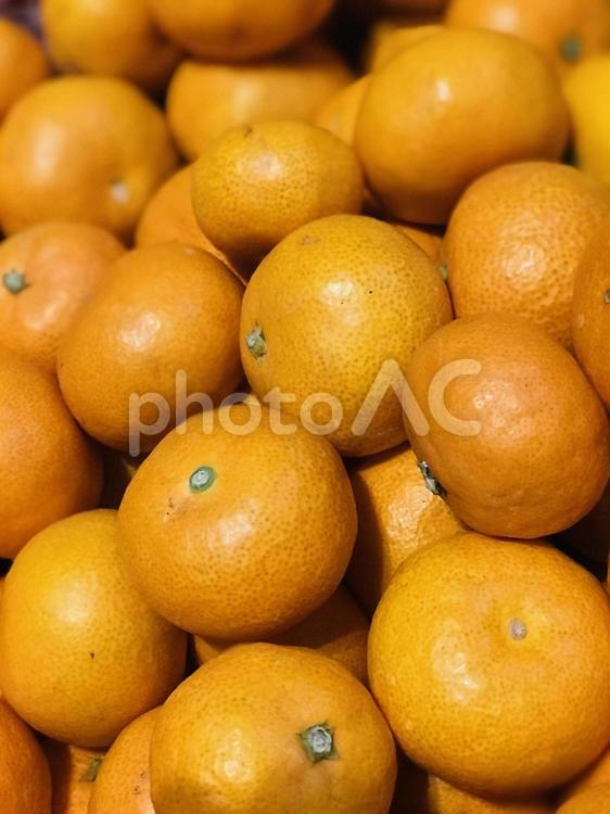 たくさんの蜜柑　オレンジ　ビタミン みかん,オレンジ,冬の果物の写真素材