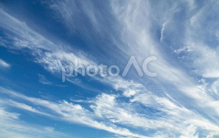 風を感じる夏の青空 空,青空,雲の写真素材