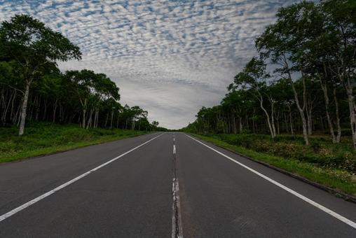 うろこ雲と直線道路 うろこ雲と直線道路 うろこ雲,夏,アスファルト道路の写真素材
