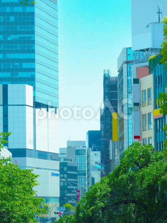 上野のビル群と木々 上野,東京,風景の写真素材