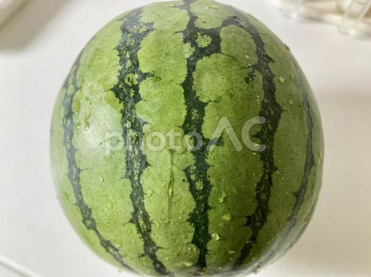 水に濡れたスイカ スイカ,野菜,果物の写真素材