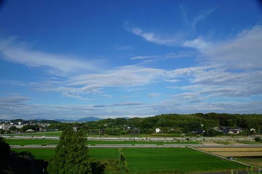 水田の風景 水田の風景の写真
