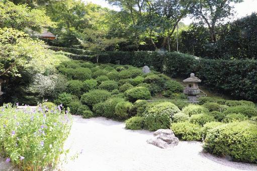金福寺 庭園 金福寺 庭園 金福寺,庭園,佛日山の写真素材