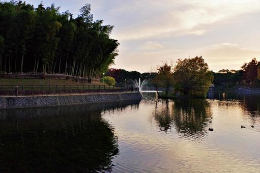公園の夕景 夕景,たそがれ,夕空の写真素材