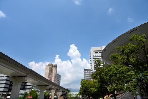 発達する都市と夏雲 発達する都市と夏雲の写真