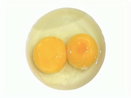 ふたごたまご 双子,たまご,生卵の写真素材